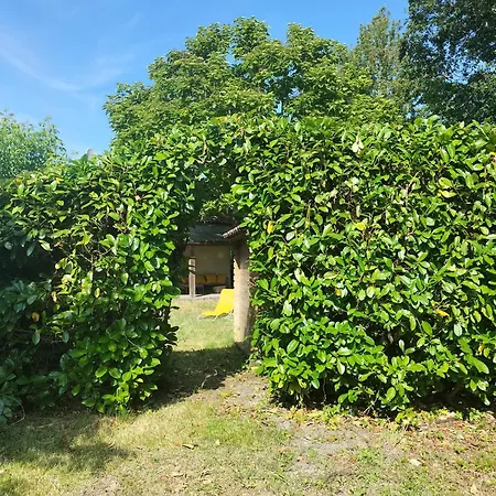 équipé Terrasse Et Jardin Hébergement de vacances *